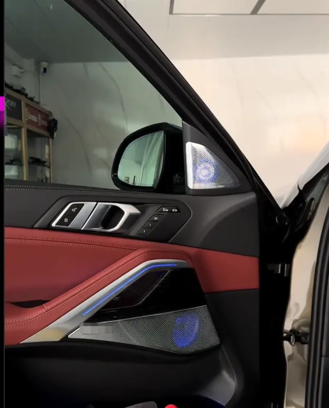 (PRENOTA) Ambient Light per BMW X6 G06, 256 Colori, APP