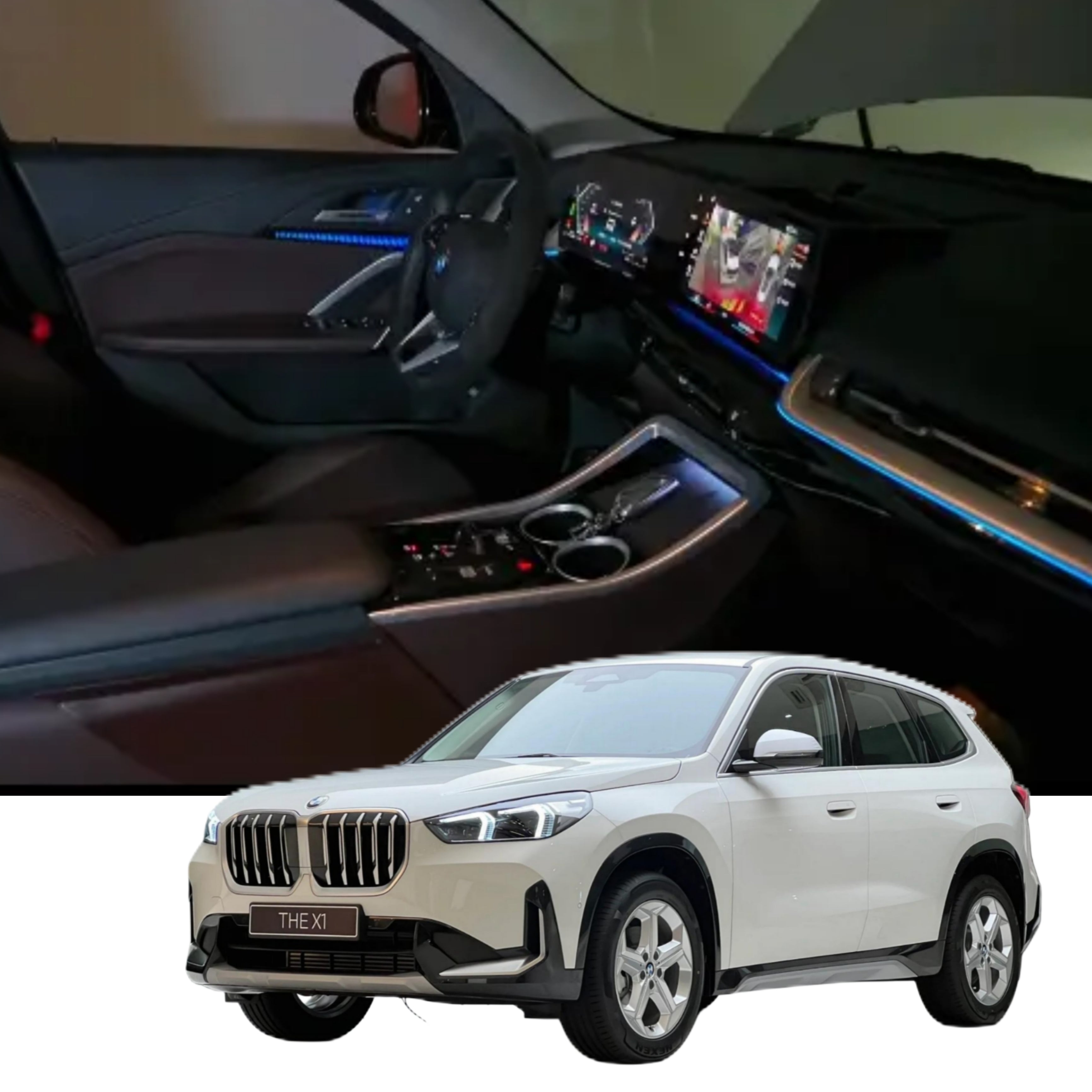 (PRENOTA) Ambient Light per BMW X1 U11 (2023>), 256 Colori, APP