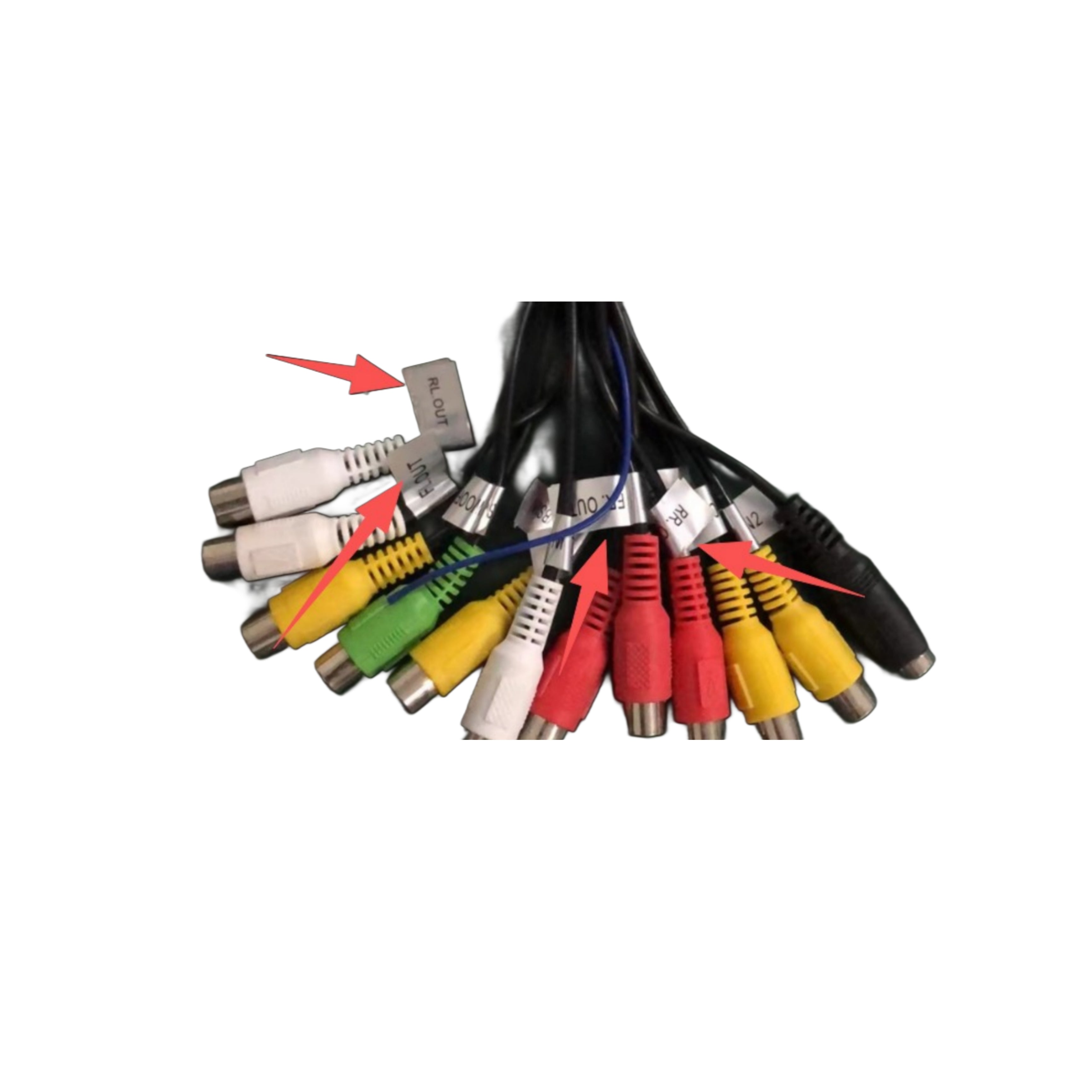 Cablaggio RCA, Doppia Uscita Amplificatore
