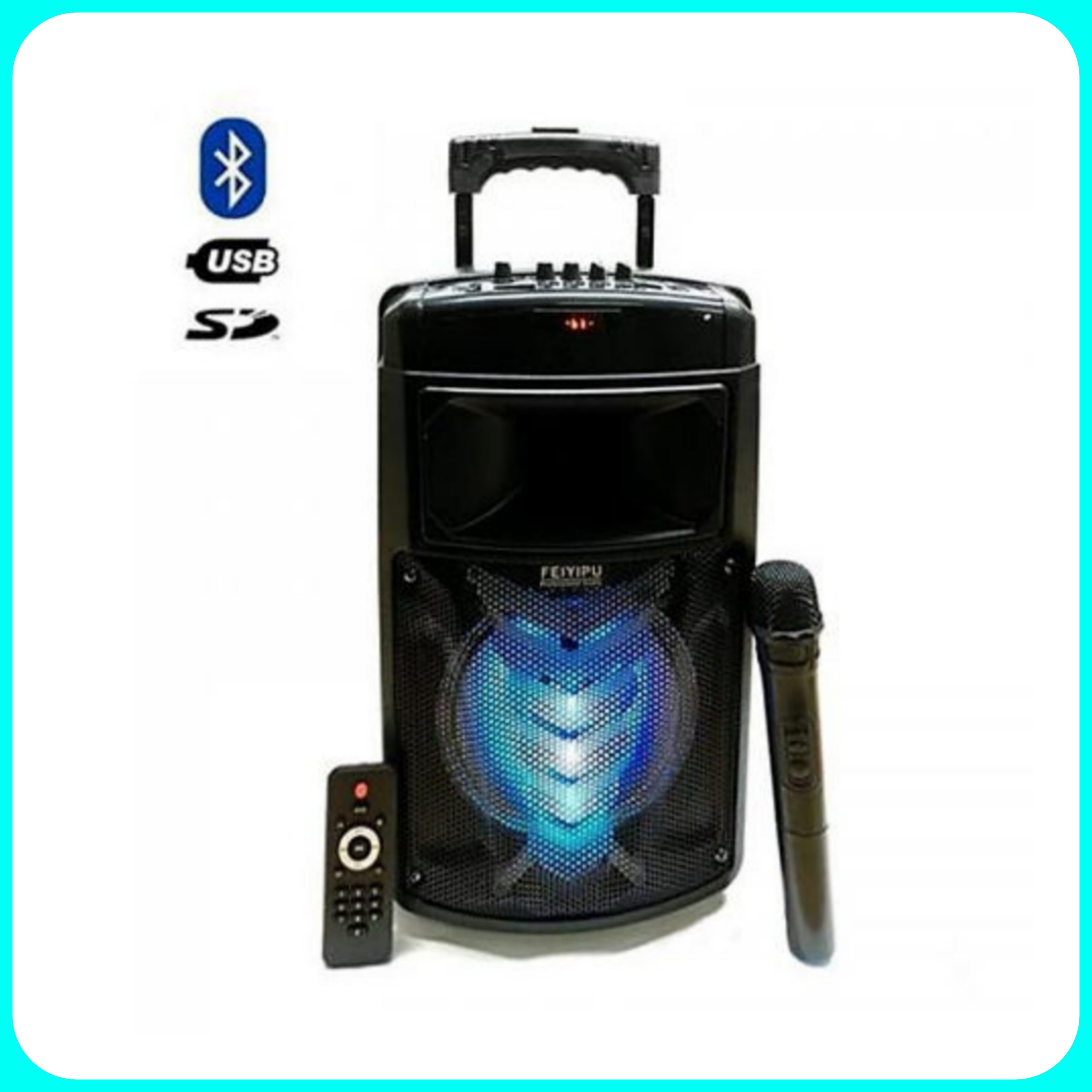 Cassa Amplificata 2000w, Ricaricabile, Maniglia, Bluetooth, Radio, SD/USB, Aux