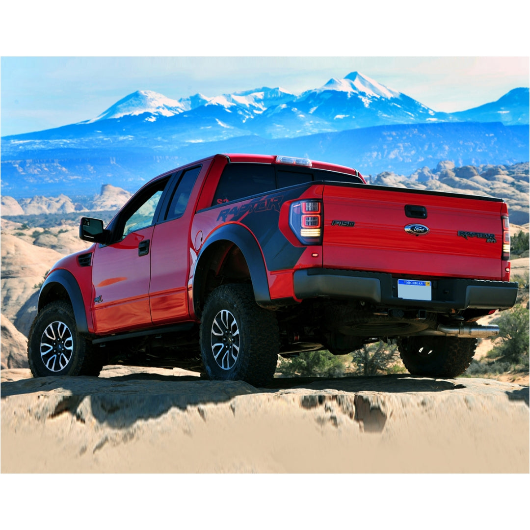 (PRENOTA) Fanali  Posteriore Completo per Ford F150 12ª Serie (2009-2014) a LED