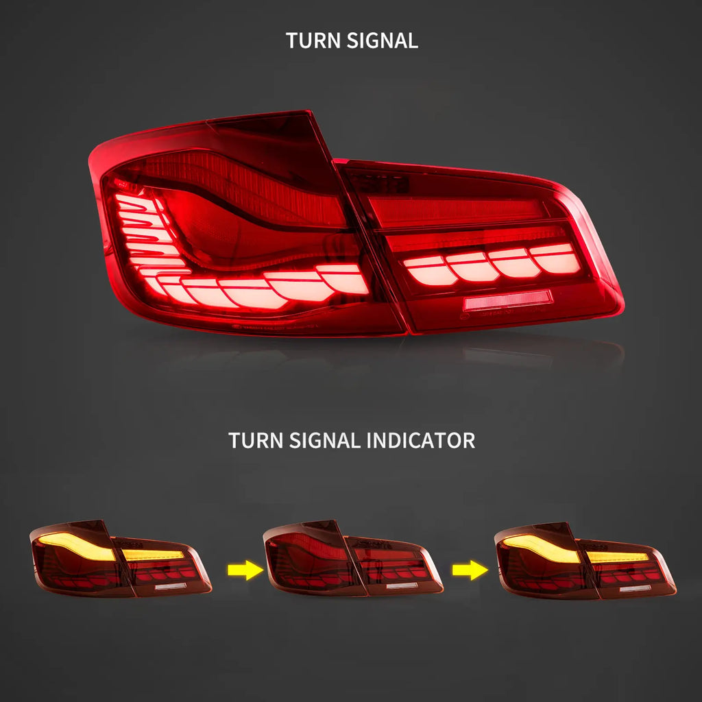 (PRENOTA) Fanali Posteriore Completo per BMW Serie 5, F10, F18 (2011-2017) a LED