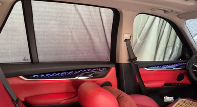 (PRENOTA) Ambient Light per BMW X5, X6 F15, F16, 256 Colori, APP