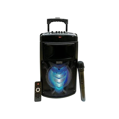 Cassa Amplificata 2000w, Ricaricabile, Maniglia, Bluetooth, Radio, SD/USB, Aux