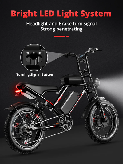 FerraroStore S8-Dual, Bici Elettrica Pieghevole, 20", Batteria 48V