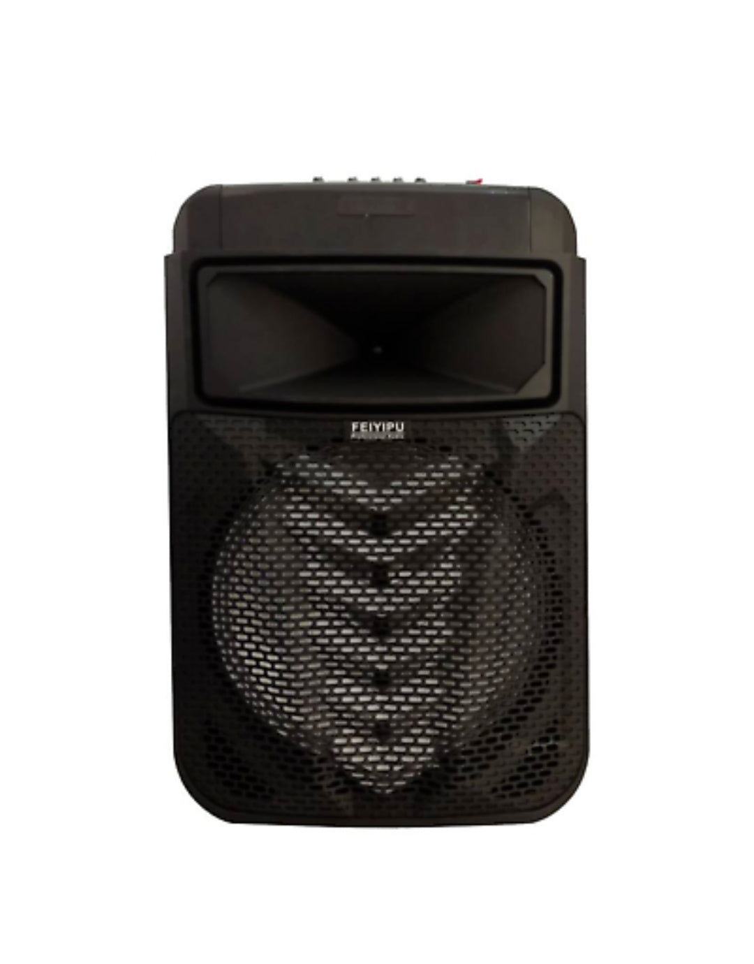 Cassa Amplificata 2000w, Ricaricabile, Maniglia, Bluetooth, Radio, SD/USB, Aux